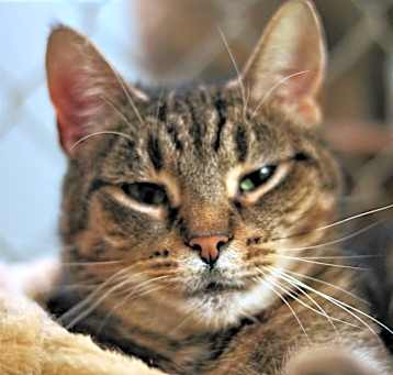 Photo of Delilah