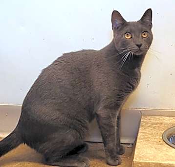 Photo of Fletcher