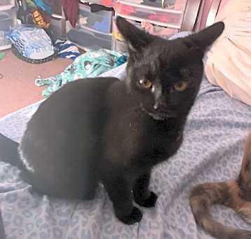 Photo of Tuck
