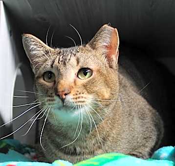 Photo of Buttons