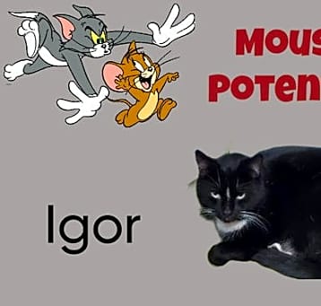Photo of Igor