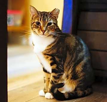 Photo of Bridget