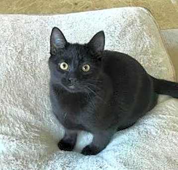 Photo of Bodie