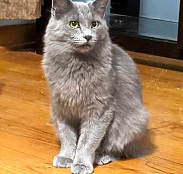 Photo of Buddy