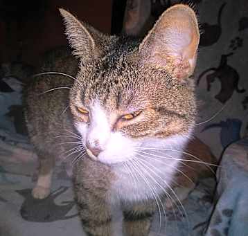 Photo of Cindy