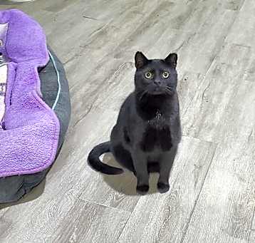 Photo of Speedy