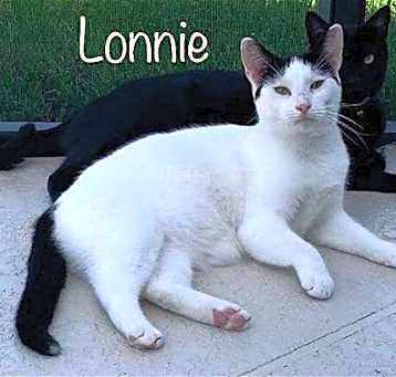 Photo of Lonnie