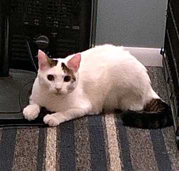 Photo of CASPER aka Cute Butt