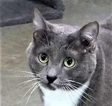Photo of Zali