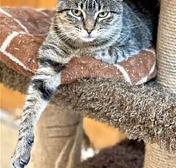 Photo of Olive