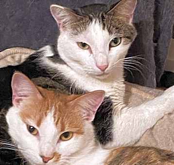 Photo of Annie and Andi