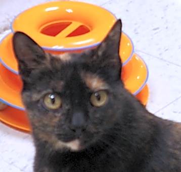 Photo of Lulu