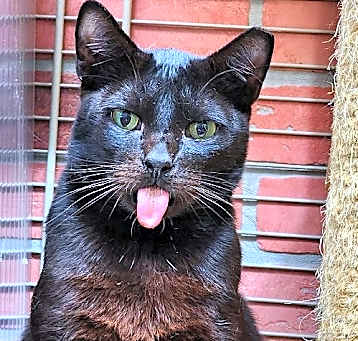 Photo of Coco Boy