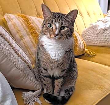 Photo of Gamora
