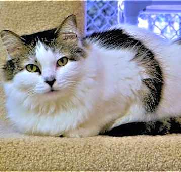 Photo of Annie