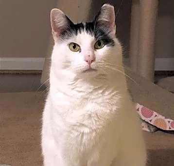 Photo of Dottie D
