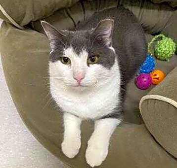 Photo of Luke Skywhisker