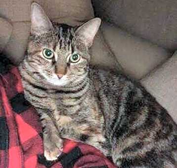 Photo of Penny