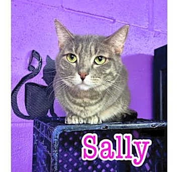 Photo of SALLY