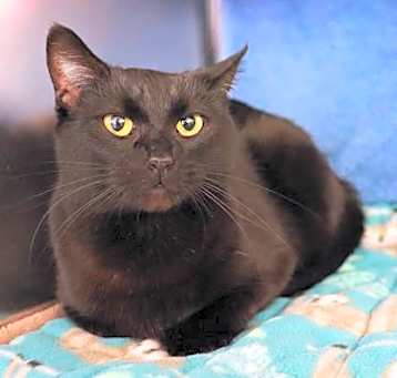 Photo of Luna