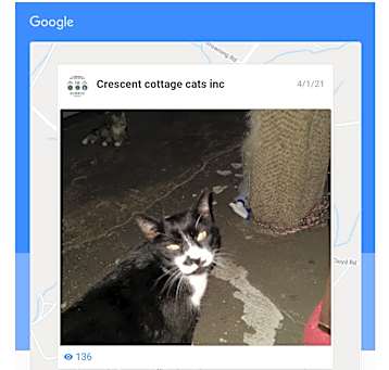 Photo of Batman