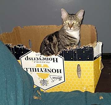 Photo of Kaleigh
