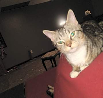Photo of Cecelia