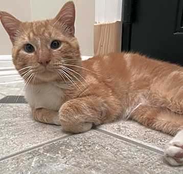 Photo of Marcos