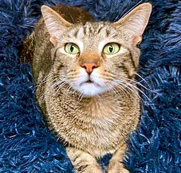 Photo of Squirt