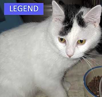 Photo of Legend