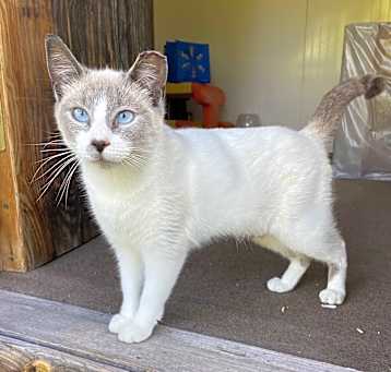 Photo of Celeste