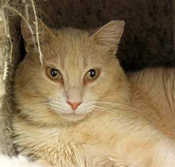 Photo of Ernie