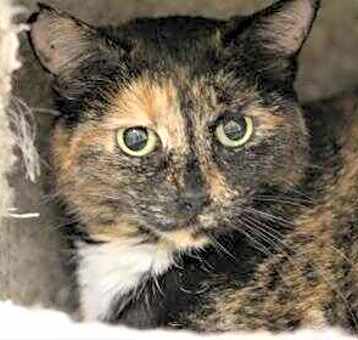 Photo of Lisbeth