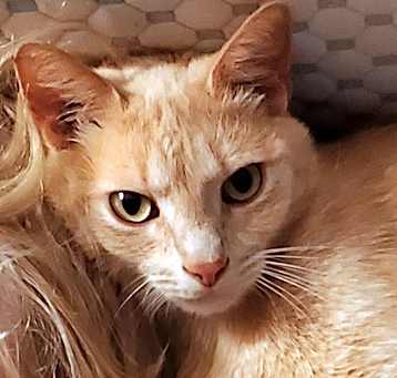 Photo of Hux