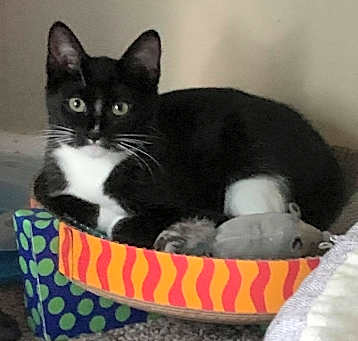 Photo of Zeke 2