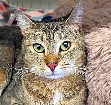 Photo of Hazel Mae