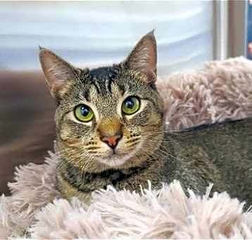 Photo of Fiona
