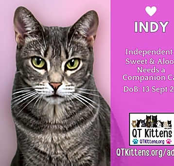 Photo of Indy