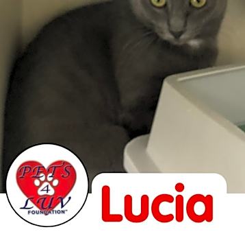 Photo of Lucia - Bob
