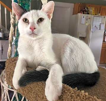 Photo of Westley