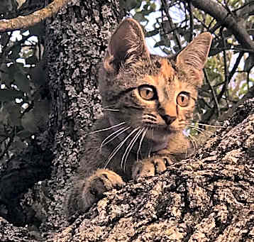 Photo of Sugar