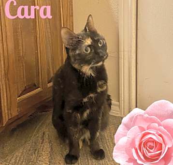 Photo of Cara