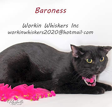 Photo of BARONESS
