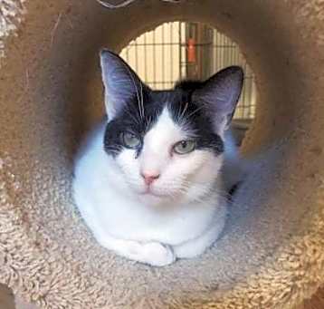 Photo of Penelope