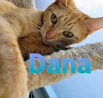 Photo of Dana