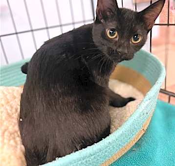Photo of Lilith