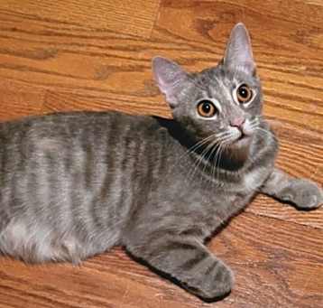 Photo of MAXIE
