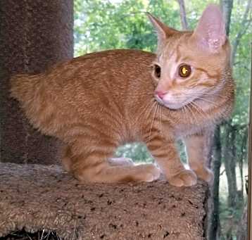 Photo of MOXIE