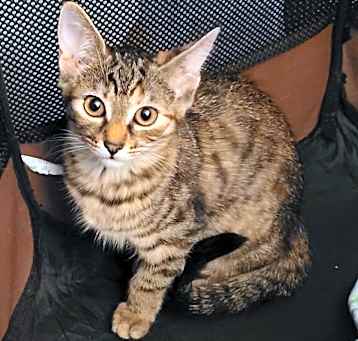 Photo of Sally