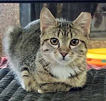 Photo of Meredith
